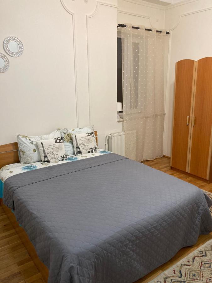 Irina Apartments Piteşti Buitenkant foto